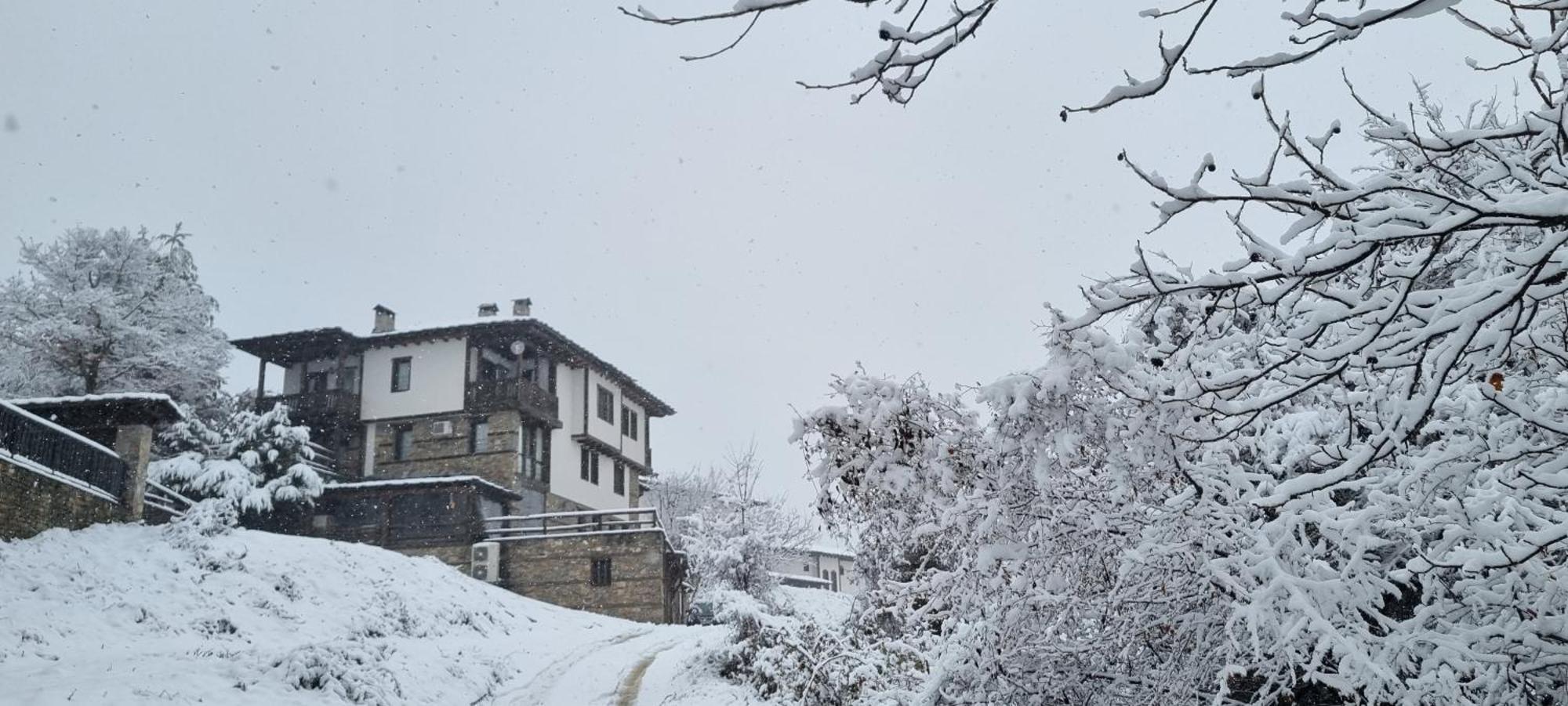 Панорама Хаус Лещен И Еко Къщи Дървена И Землянка Exterior photo
