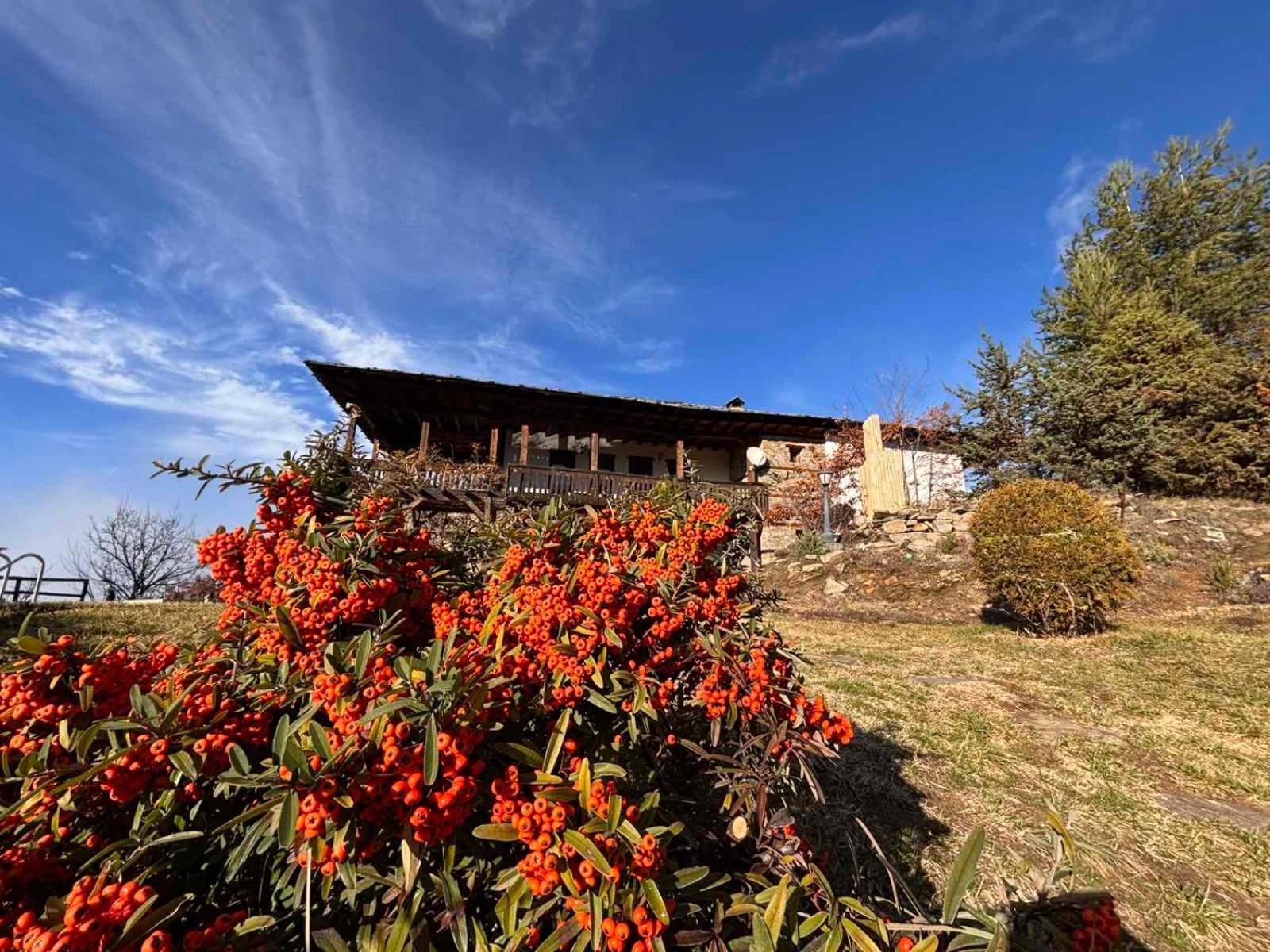 Панорама Хаус Лещен И Еко Къщи Дървена И Землянка Exterior photo